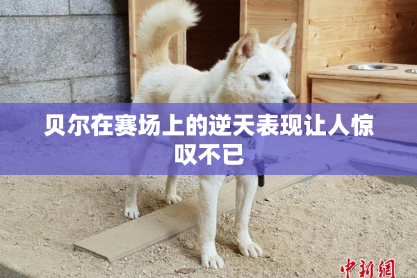 贝尔在赛场上的逆天表现让人惊叹不已