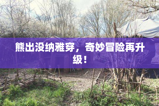 熊出没纳雅穿，奇妙冒险再升级！