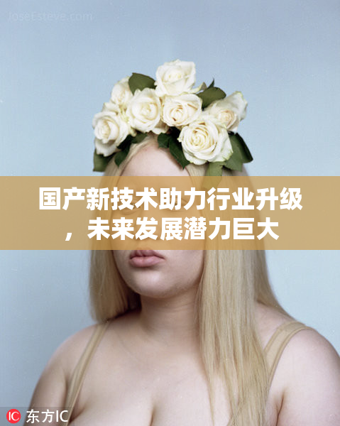 国产新技术助力行业升级，未来发展潜力巨大