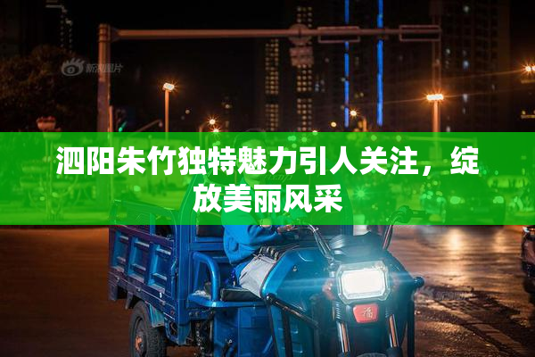 泗阳朱竹独特魅力引人关注，绽放美丽风采