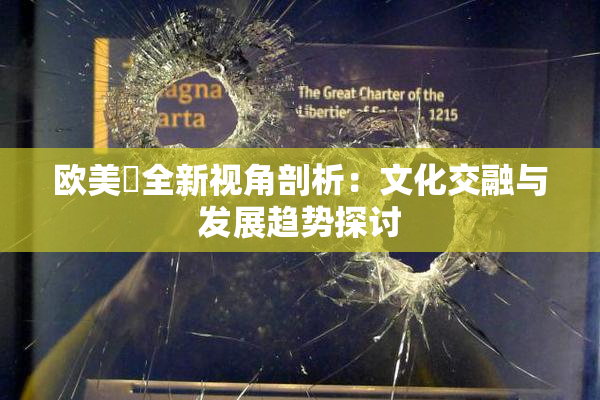 欧美巜全新视角剖析：文化交融与发展趋势探讨