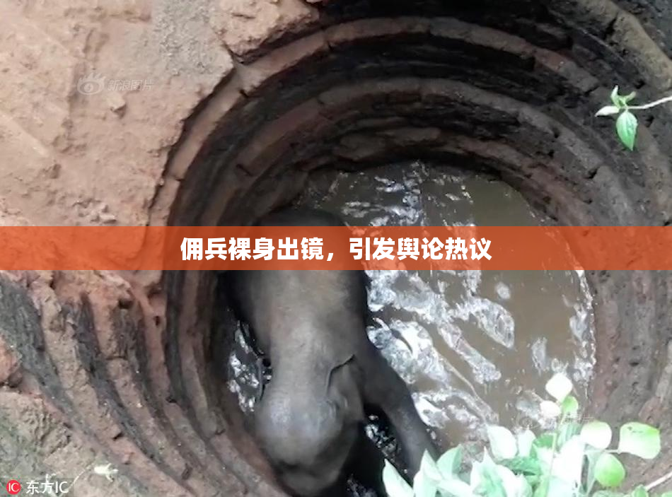 佣兵裸身出镜，引发舆论热议