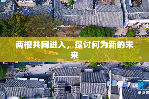 两根共同进入，探讨何为新的未来