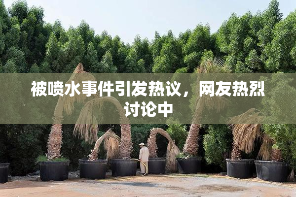 被喷水事件引发热议，网友热烈讨论中