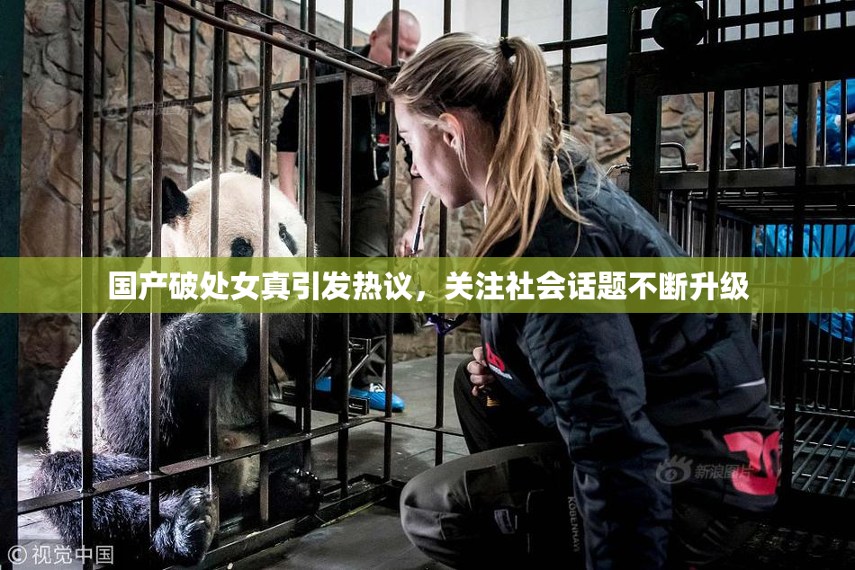国产破处女真引发热议，关注社会话题不断升级