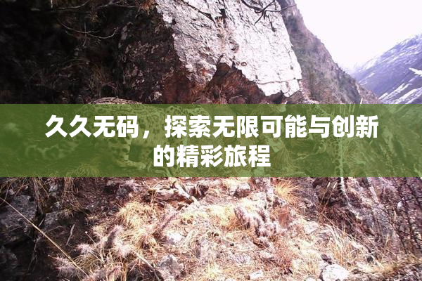 久久无码，探索无限可能与创新的精彩旅程