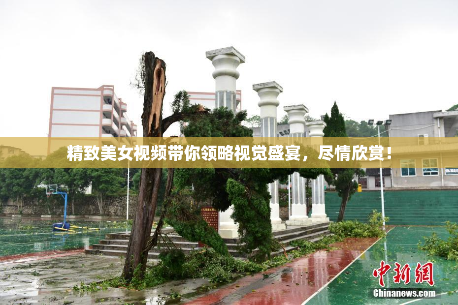 精致美女视频带你领略视觉盛宴，尽情欣赏！