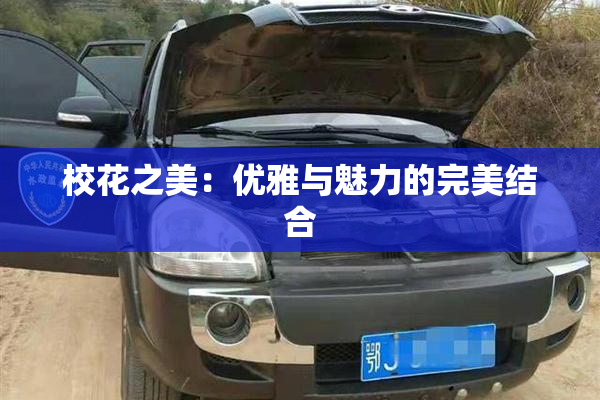 校花之美：优雅与魅力的完美结合