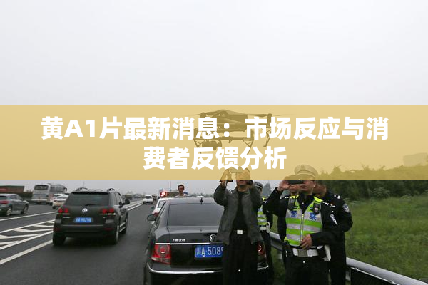 黄A1片最新消息：市场反应与消费者反馈分析