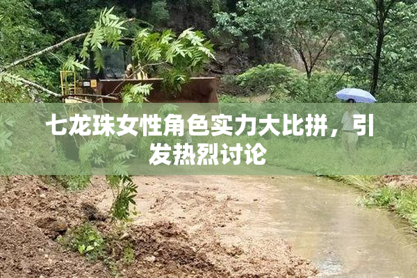 七龙珠女性角色实力大比拼，引发热烈讨论
