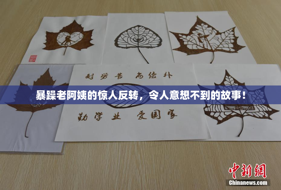 暴躁老阿姨的惊人反转，令人意想不到的故事！