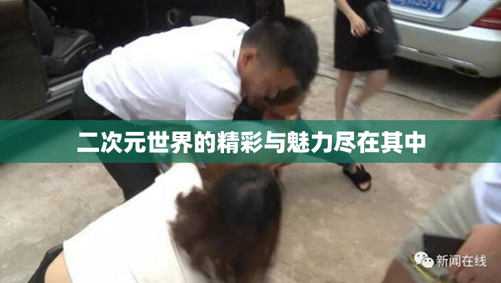 二次元世界的精彩与魅力尽在其中
