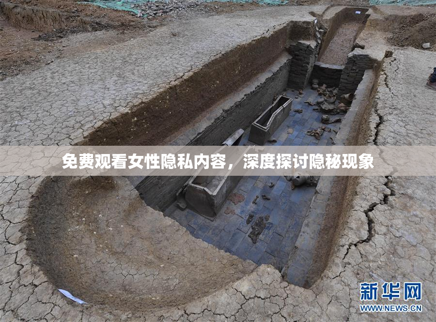免费观看女性隐私内容，深度探讨隐秘现象