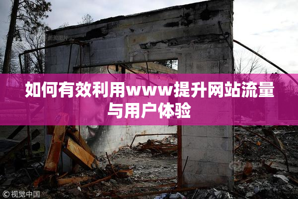 如何有效利用www提升网站流量与用户体验
