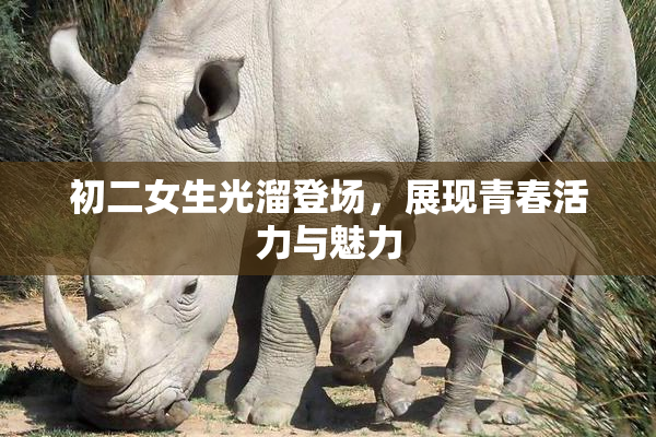 初二女生光溜登场，展现青春活力与魅力