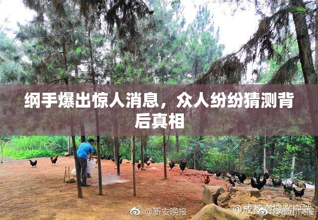 纲手爆出惊人消息，众人纷纷猜测背后真相