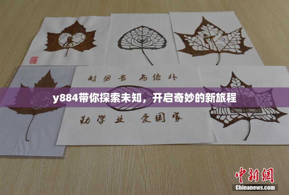 y884带你探索未知，开启奇妙的新旅程