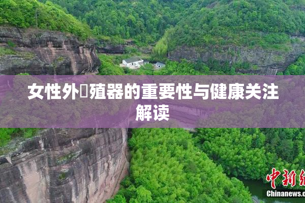 女性外夝殖器的重要性与健康关注解读