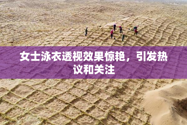 女士泳衣透视效果惊艳，引发热议和关注