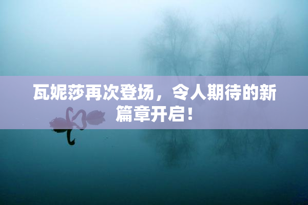 瓦妮莎再次登场，令人期待的新篇章开启！
