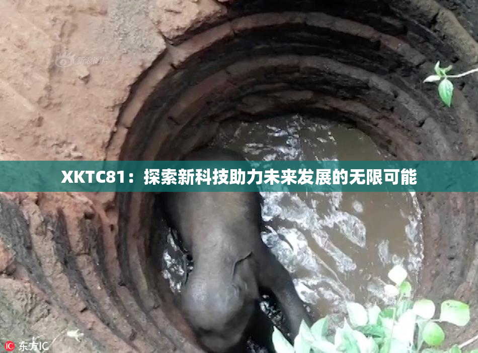 XKTC81：探索新科技助力未来发展的无限可能