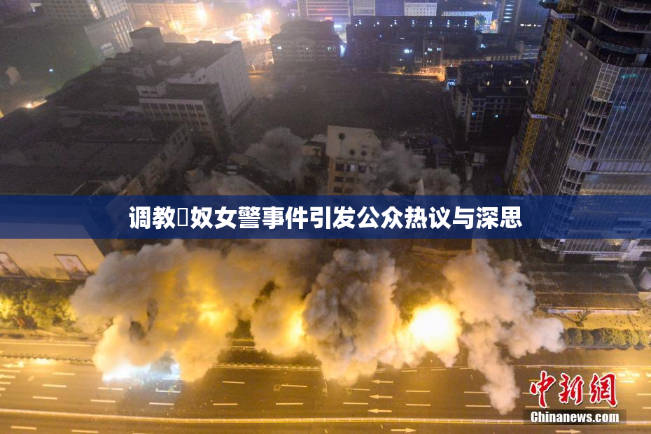 调教婬奴女警事件引发公众热议与深思