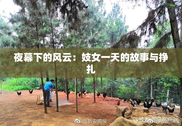 夜幕下的风云：妓女一天的故事与挣扎