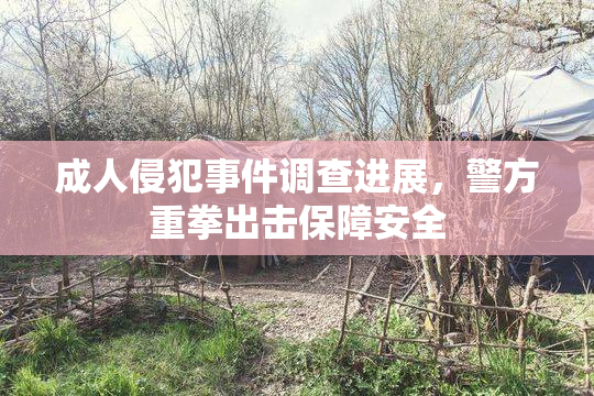 成人侵犯事件调查进展，警方重拳出击保障安全