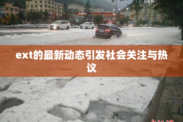 ext的最新动态引发社会关注与热议