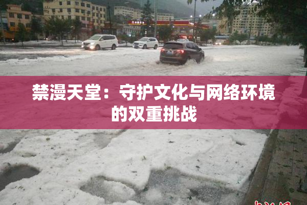 禁漫天堂：守护文化与网络环境的双重挑战