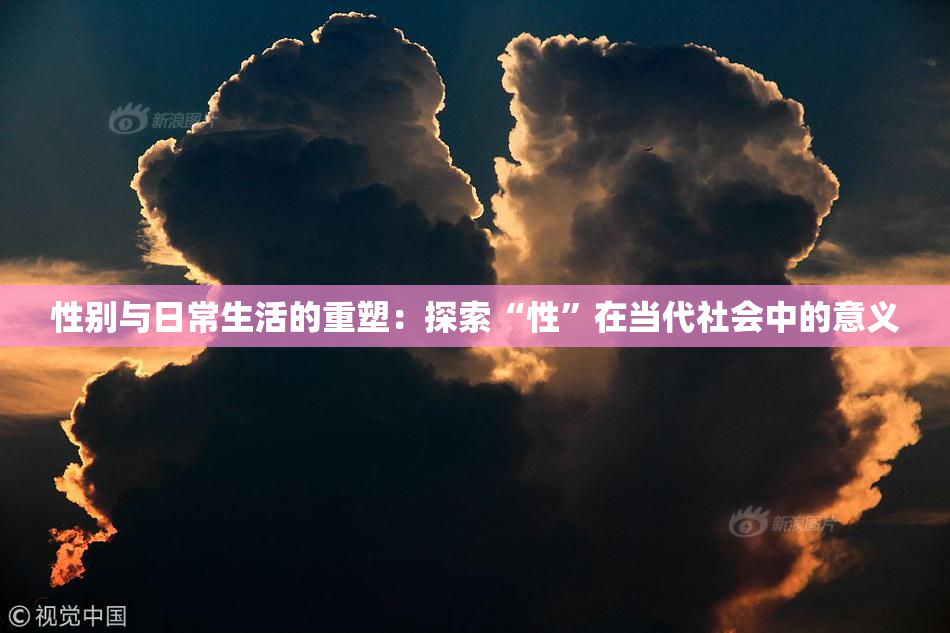 性别与日常生活的重塑：探索“性”在当代社会中的意义