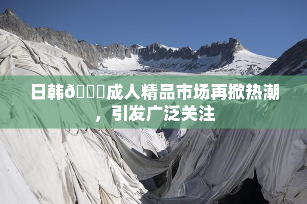 日韩🔞成人精品市场再掀热潮，引发广泛关注