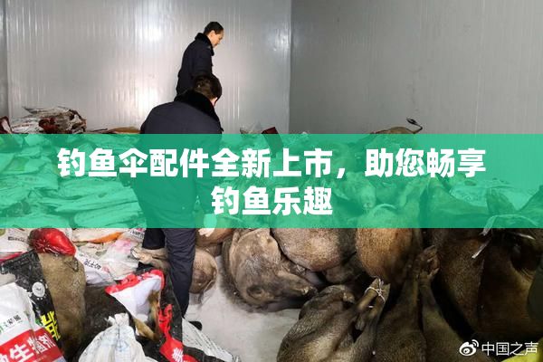 钓鱼伞配件全新上市，助您畅享钓鱼乐趣