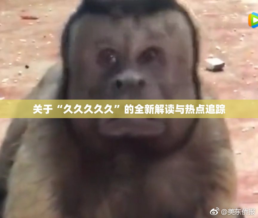 关于“久久久久久”的全新解读与热点追踪