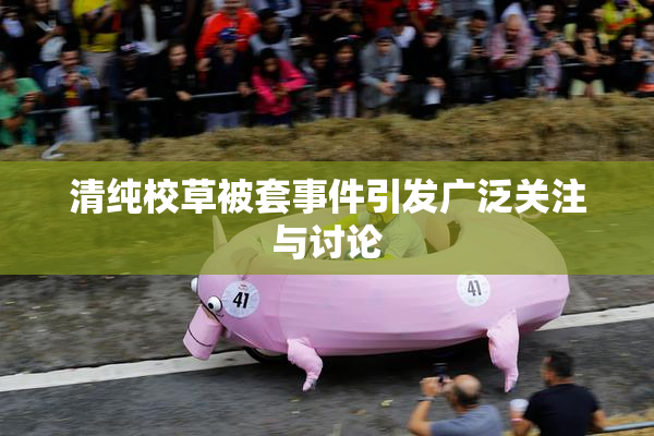 清纯校草被套事件引发广泛关注与讨论