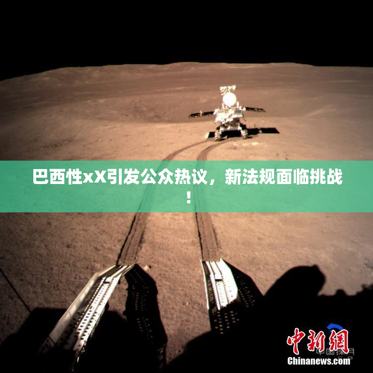巴西性xX引发公众热议，新法规面临挑战！