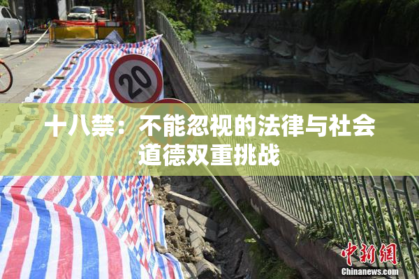 十八禁：不能忽视的法律与社会道德双重挑战