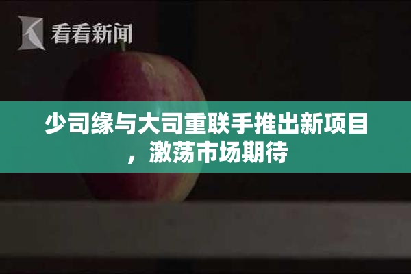 少司缘与大司重联手推出新项目，激荡市场期待