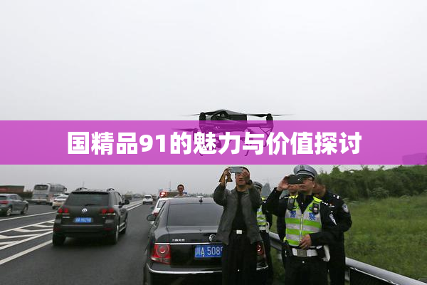 国精品91的魅力与价值探讨