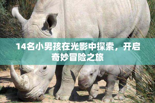 14名小男孩在光影中探索，开启奇妙冒险之旅