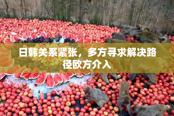 日韩关系紧张，多方寻求解决路径欧方介入