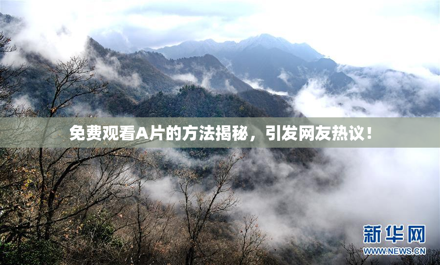 免费观看A片的方法揭秘，引发网友热议！