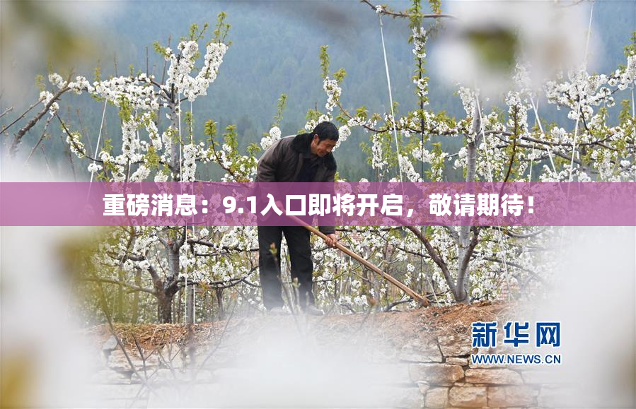 重磅消息：9.1入口即将开启，敬请期待！