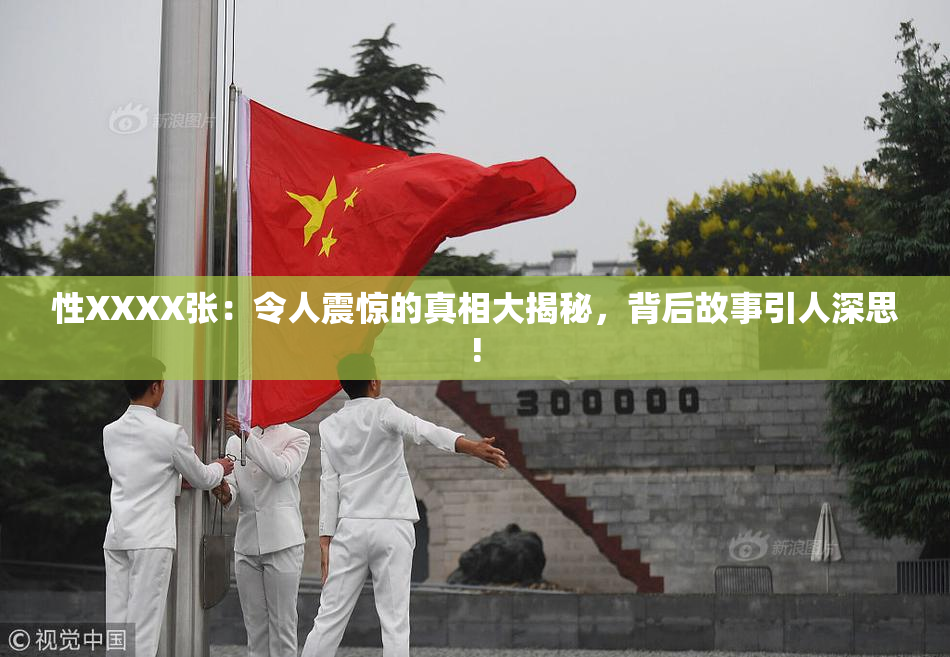 性XXXX张：令人震惊的真相大揭秘，背后故事引人深思!