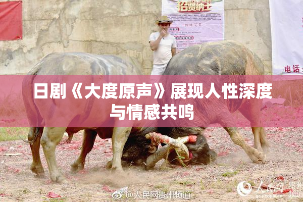 日剧《大度原声》展现人性深度与情感共鸣