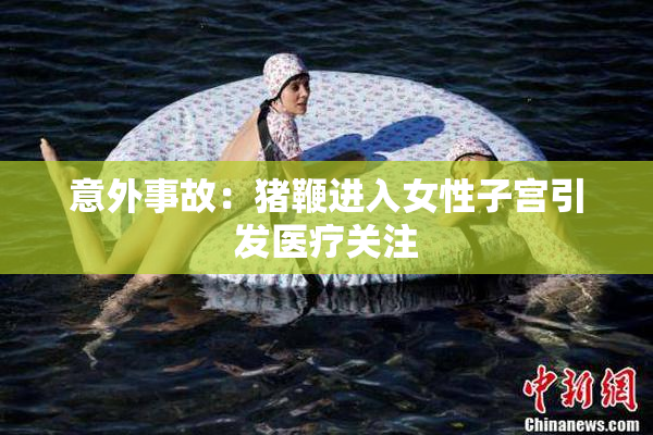 意外事故：猪鞭进入女性子宫引发医疗关注