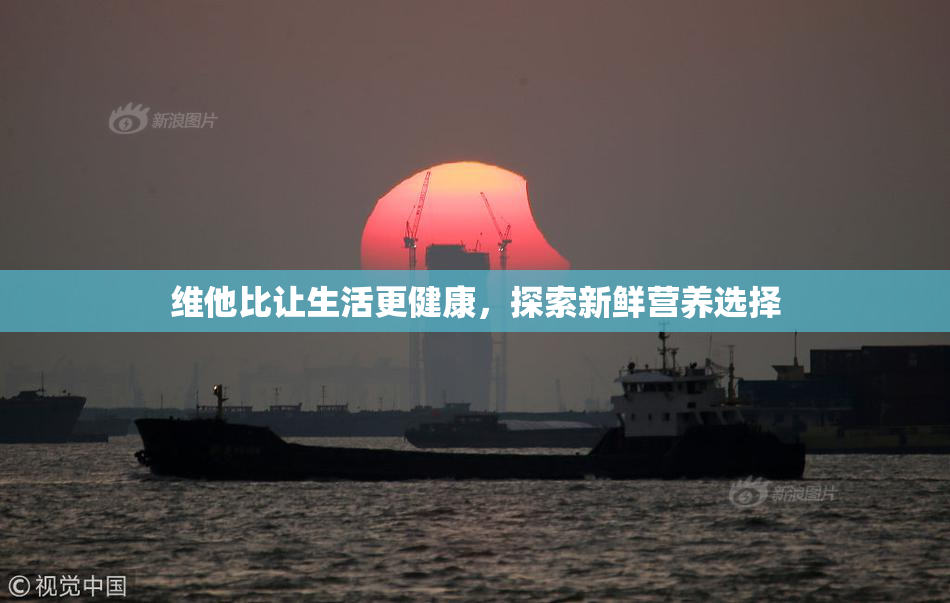 维他比让生活更健康，探索新鲜营养选择