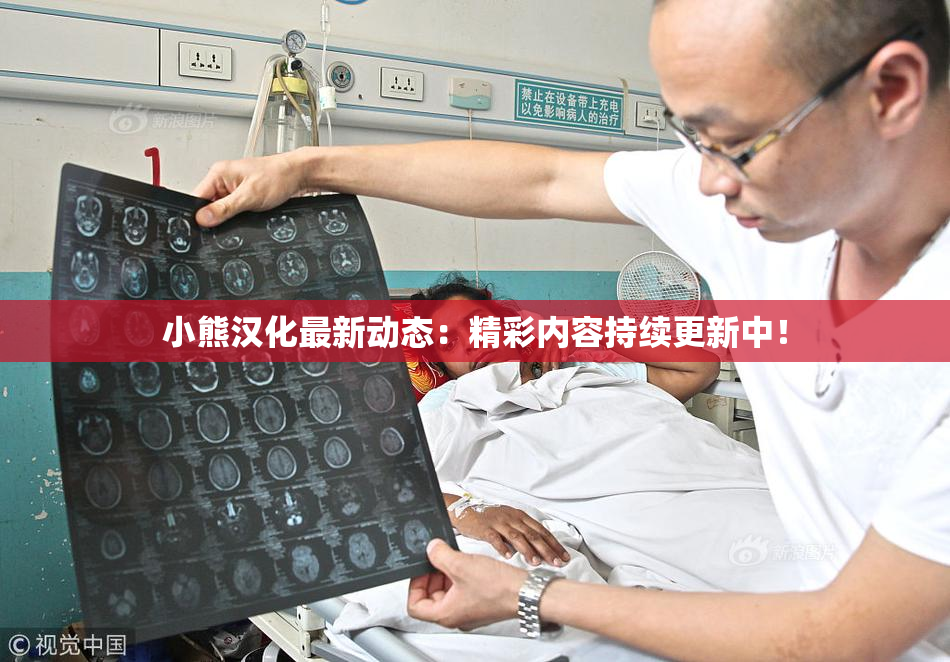 小熊汉化最新动态：精彩内容持续更新中！