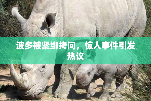 波多被紧绑拷问，惊人事件引发热议