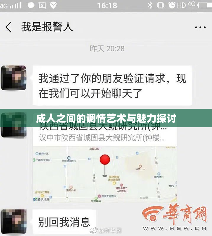 成人之间的调情艺术与魅力探讨